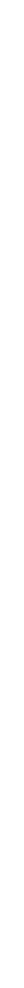 section2BgRight